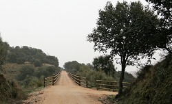 Conexin del Camino Natural - Va Verde Ruta de la Plata con la ciudadde Salamanca